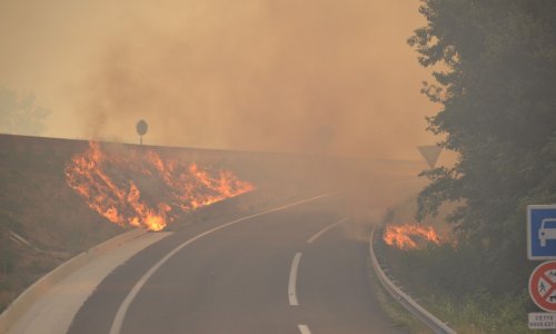 Požar guta jug Francuske: Više od 10.000 ljudi evakuirano, EU šalje hitnu pomoć