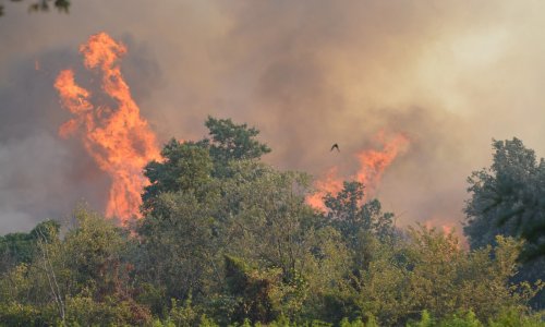 Francuska se suočava s najvećim požarima od Drugog svjetskog rata