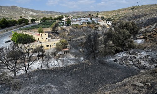 Obuzdan jedan od najgorih požara u Andaluziji, iza njega ostala velika šteta i 12 žrtava