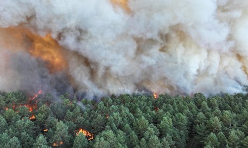 Ogromni požar guta šumu nedaleko od Pariza: Prvi put dignuti kanaderi, vatra stigla do kuća