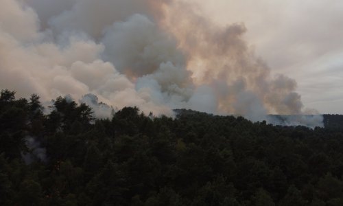 Požar progutao 1000 hektara šume kod Pariza: Hrvatska reporterka otkrila neobičan detalj