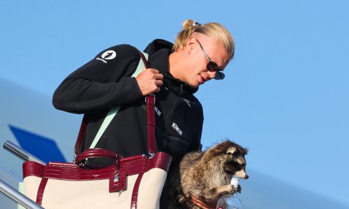 Haaland iz SAD-a stigao s rakunom i postao hit: Kad vidite koliko košta, bit će vam jasno zašto