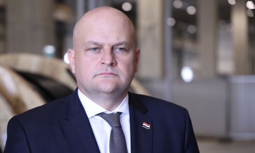 Šušnjar o DP-ovoj rezoluciji za BiH: Potreban veći iskorak