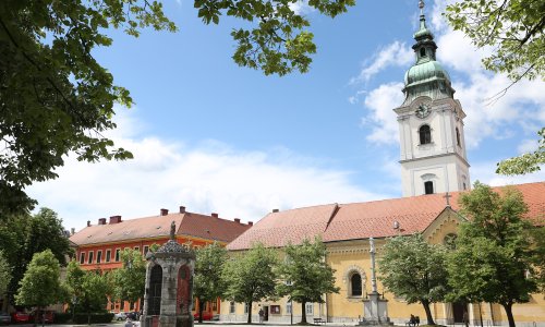 Rat oko drvoreda lipa u Karlovcu: Vlast kreće u rušenje, oporba se usprotivila