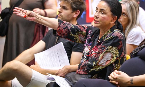 Alka Vuica se protivi gradnji na Borovju, muškarac je prozvao: 'Izgradili ste bazen umjesto vrta'