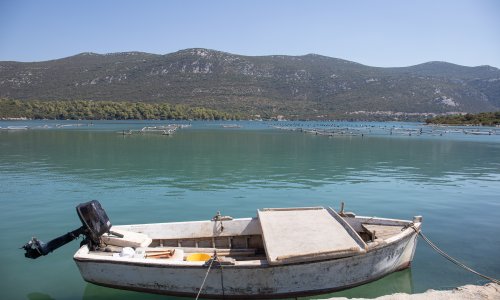 More u Stonu onečišćeno fekalijama: Ne preporučuje se kupanje na plaži