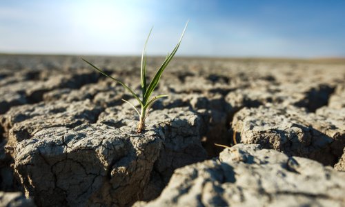 Alarmantno upozorenje znanstvenika: Europa ostaje bez vode, klimatske promjene ubrzavaju katastrofu