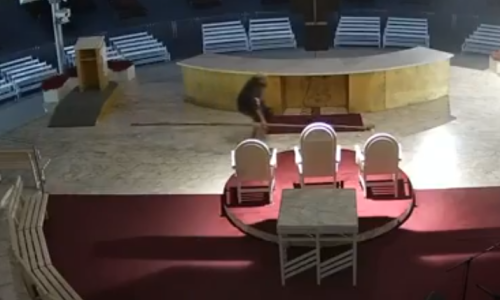 VIDEO Ovo je muškarac koji je zapalio oltar crkve u Međugorju