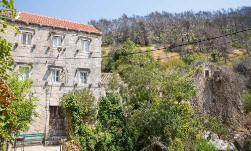 Nevjerojatno je čemu se sve turisti čude u Hrvatskoj: Reakcije su postale hit