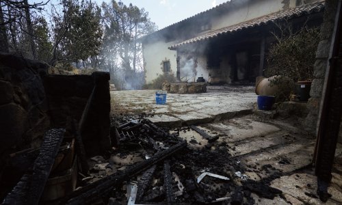 Tisuće Španjolaca vraćaju se kući nakon požara, vinogradar: 'Ovo je jedino ostalo zeleno'