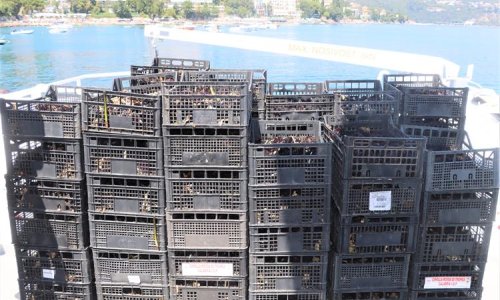 FOTO Zaustavili ga na A7 zbog kontrole, a u kombiju ih je dočekao nevjerojatan prizor