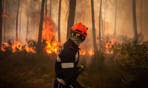 Konačno obuzdan strašan požar u Francuskoj: Tisuće ljudi vraća se kućama
