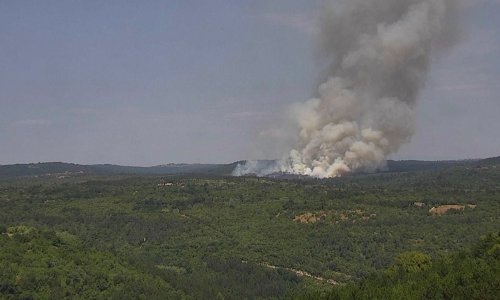 U Istri planulo više požara, uključeni i kanaderi