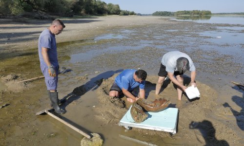 Gdje Dunav (ne) ljubi nebo: Što je sve rekordna suša izvukla na površinu