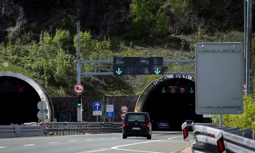 Medvjed na autocesti A1: Uočen je između dva tunela, pripazite