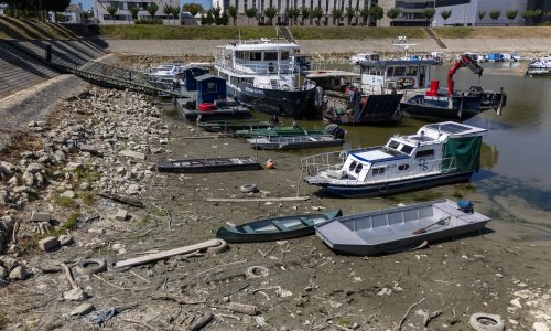 Pazite koliko novca Hrvatska mora izdvojiti da bi ublažila posljedice suše