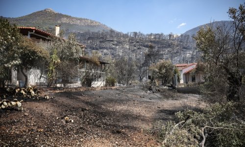 Dugo sušno ljeto: Rekordna suša i požari mogli bi gurnuti cijene hrane u nebo, posebno jedne namirnice