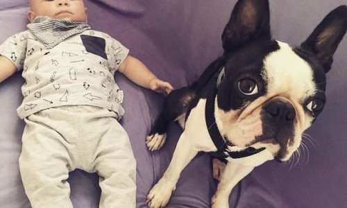 Pogledajte kako se slažu sinčić i ljubimac Ane Maras Harmander