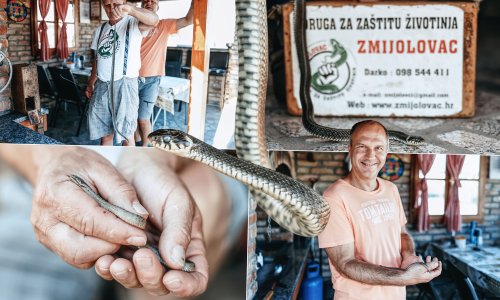 Posjetili smo posljednje hrvatske 'šaptače zmijama': 'Ne idete kući dok je ne ulovite'