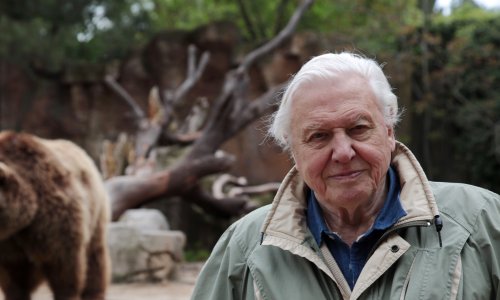 Od zaleđenih žaba do surove Amazone: BBC Earth u kolovozu donosi dokumentarce koji će vas prikovati uz ekrane