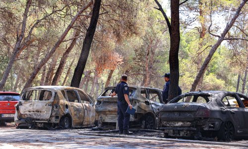 Pored poznatog hotela izbio požar: Izgorjelo nekoliko automobila i borova šuma