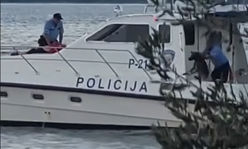 Policajac bacio psa u more!? Oglasio se MUP: 'Pustili smo ga'