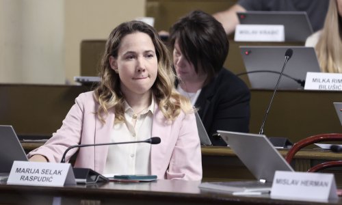 Selak Raspudić: 'Ovo je trenutak u kojem čitava Vlada treba pasti'