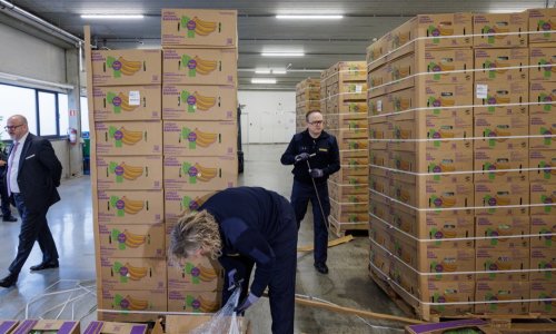 Među bananama pronašli kokain u vrijednosti 200 milijuna funti