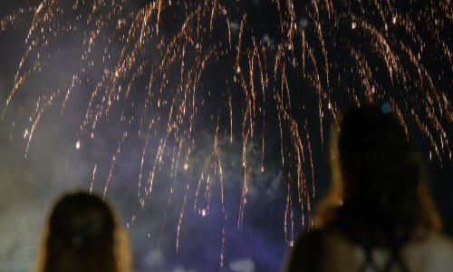 Prijatelji životinja traže ograničenje vatrometa i zabranu bučne pirotehnike