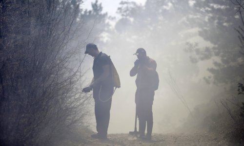 Veliki požar u Hercegovini: Lokalne vlasti traže međunarodnu pomoć