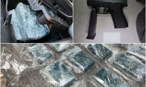 Šef narkokartela 'pao' u Sarajevu nakon velike akcije njemačke policije