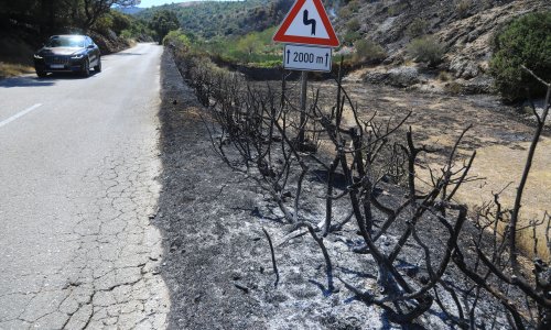 Požar kod Škrljeva pod nadzorom, vatrogasci ostaju na terenu do jutra