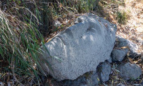 FOTO 'Izronio' iz Save i privlači poglede: Težak je stotine kilograma, a rijetki znaju njegovu priču