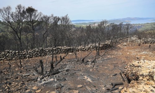 Uhićen zbog požara na Čiovu: Nakon noćnog provoda zapalio suhu travu
