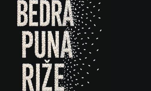 Cijela regija sluša njezine savjete, a sada stiže i prva knjiga Barbare Udovičić