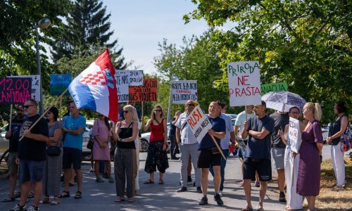 Burno na odboru u Gospiću: 'Ovo će biti cirkus! Ovo je nacionalna katastrofa i trovanje naših ljudi!'