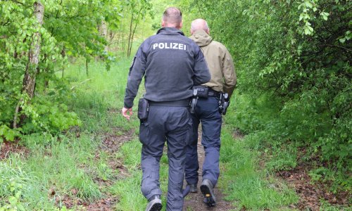 Pronađeno tajno skladište oružja u šumi kod Berlina: Iza svega stoje Rusi?