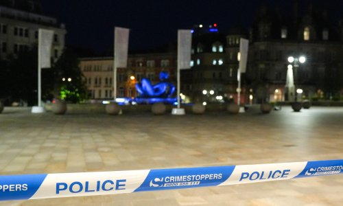 Dobila je kaznu od 116 dolara zbog mobitela u desnoj ruci: Postoji razlog zbog kojeg to fizički nije mogla učiniti