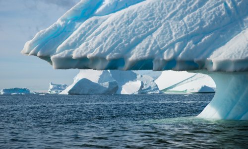 Biolozi u čudu: Gljivice u oceanu važnije su nego što smo ikad mislili