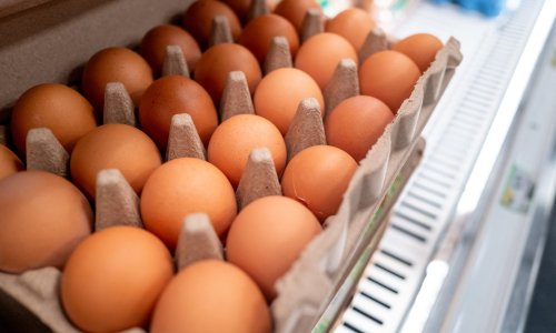 Za sve su kriva jaja: Više od 300 ljudi u Belgiji zarazilo se salmonelom