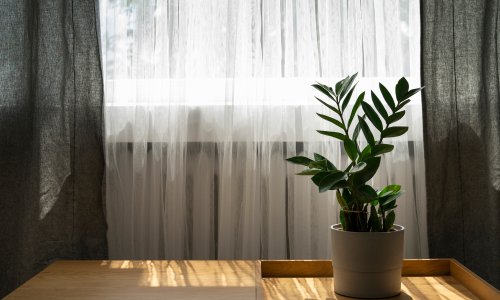 Zavjese izlaze iz mode: Pametna i elegantna rješenja sve su traženija