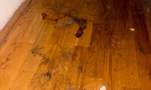 FOTO Dala im sređen i renoviran stan, nakon deset mjeseci nije mogla vjerovati što vidi