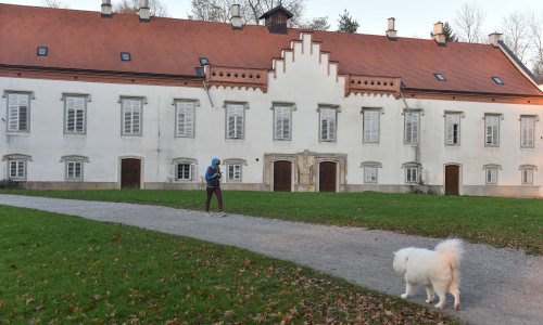 Produljuje se obnova Jelačićevog dvorca u Zaprešiću, poznato kad bi trebalo biti gotovo