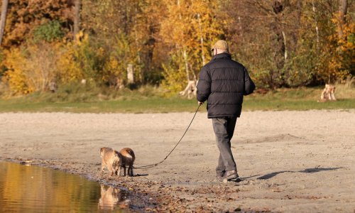 S koliko novca ste među 10 posto najbogatijih umirovljenika u Njemačkoj? Iznos bi vas mogao iznenaditi