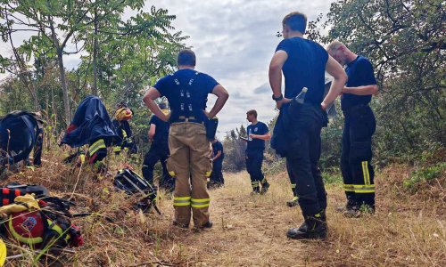 Deliblatska peščara nakon požara: Uništene šume, stradale pčele, oporavak najmanje 20 godina