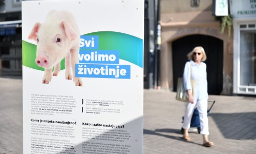 Veganski festival podržava prosvjed za Liku: Za sudionike pripremili popuste
