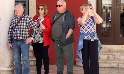 Znate li tko vam je pašo, diver ili jetrva? Ovi dalmatinski nazivi za rodbinu polako nestaju