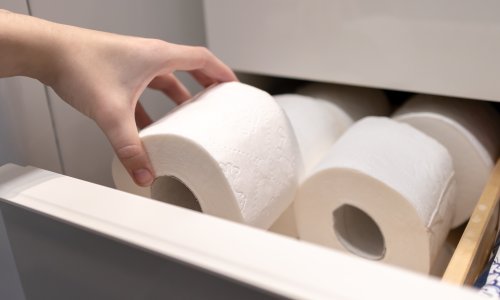 Ovaj toaletni papir može izazvati svrbež i peckanje, a mnogima je omiljen izbor