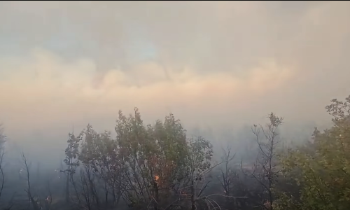 Više požara u Dalmaciji: Dignuta četiri Canadaira i dva Air Tractora