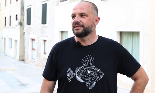 Hajdaš Dončić usporedio Plenkovića s Vučićem: 'Pucao si je u nogu s tom izjavom'